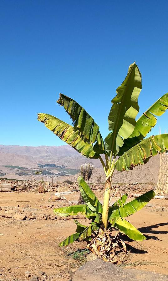 Campo De Cielo Mamalluca Valle De Elqui Vicuña Esterno foto