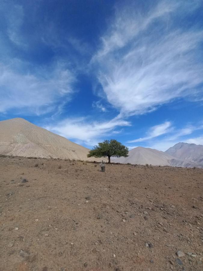 Campo De Cielo Mamalluca Valle De Elqui Vicuña Esterno foto